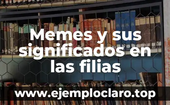 Memes y sus significados en las filias