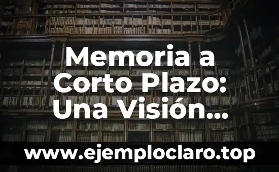 Memoria a Corto Plazo: Una Visión Integral
