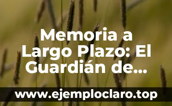 Memoria a Largo Plazo: El Guardián de Nuestros Recuerdos