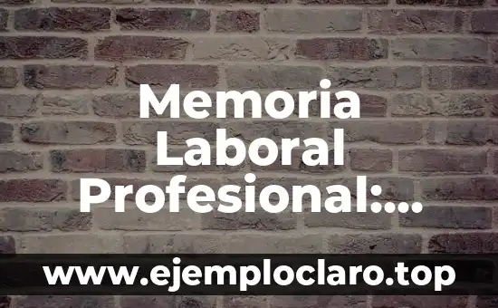 Memoria Laboral Profesional: Entendiendo su Significado