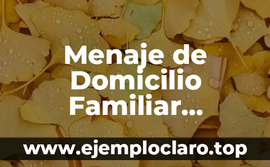 Menaje de Domicilio Familiar Significado