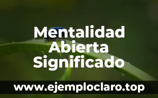 Mentalidad Abierta Significado