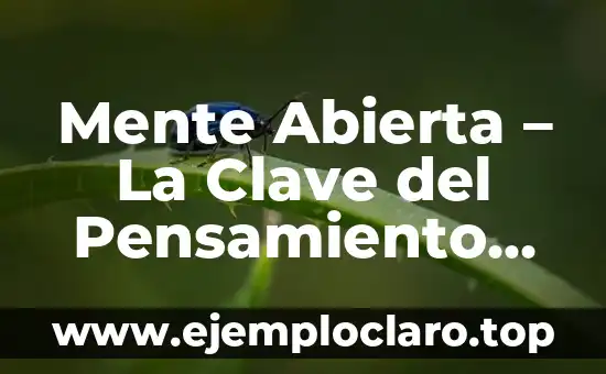 Mente Abierta - La Clave del Pensamiento Flexible