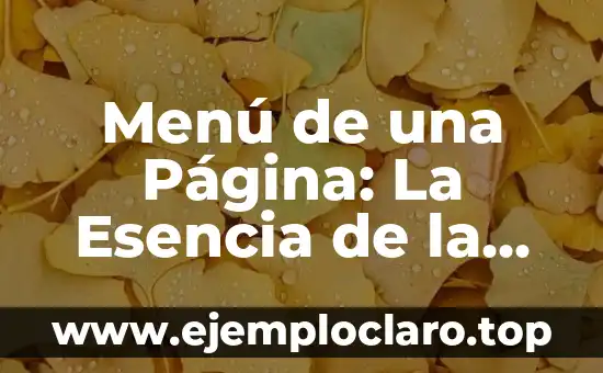Menú de una Página: La Esencia de la Navegación Web
