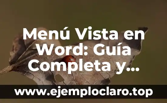 Menú Vista en Word: Guía Completa y Significado