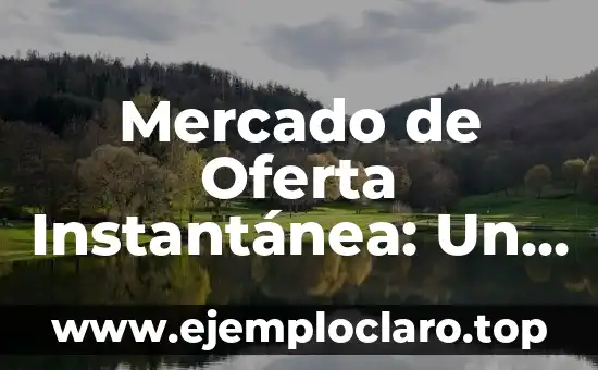 Mercado de Oferta Instantánea: Un Mundo de Acceso Inmediato