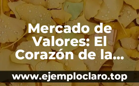 Mercado de Valores: El Corazón de la Economía