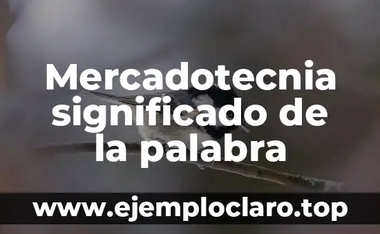 Mercadotecnia significado de la palabra
