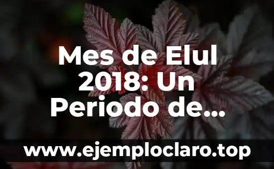 Mes de Elul 2018: Un Periodo de Reflexión Espiritual