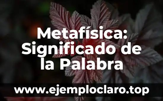 Metafísica: Significado de la Palabra