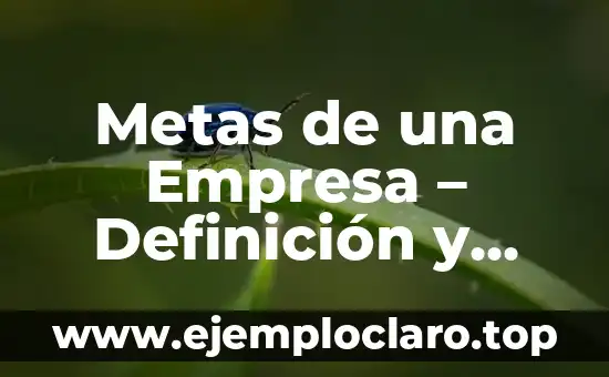 Metas de una Empresa - Definición y Estrategias