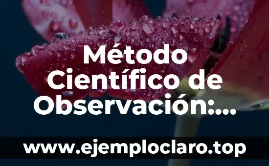 Método Científico de Observación: Significado y Aplicación