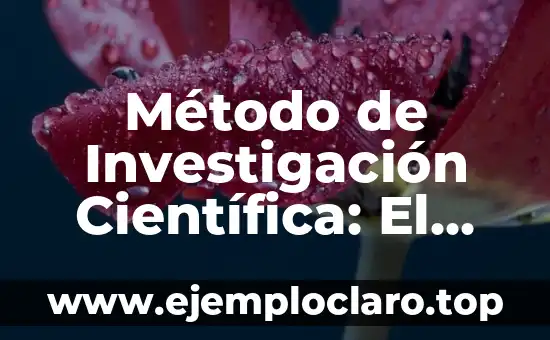 Método de Investigación Científica: El Proceso Estructural del Conocimiento