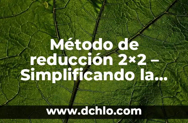 Significado del Métodos de Reducción 7 Método de reducción 2×2 – Simplificando la complejidad en la toma de decisiones