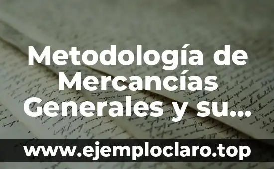 Metodología de Mercancías Generales y su Significado