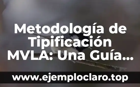 Metodología de Tipificación MVLA: Una Guía Integral