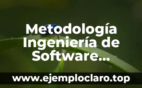 ¿Qué es el Software y Hardware? Definición y Ejemplos 5 Metodología Ingeniería de Software Significado