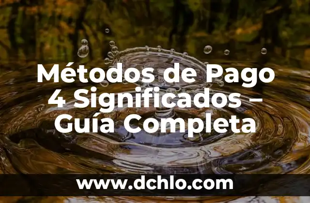 Métodos de Pago en Puebla: Una Visión General 8 Métodos de Pago 4 Significados – Guía Completa
