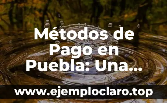 Métodos de Pago en Puebla: Una Visión General