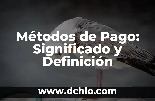 Metas de una Empresa - Definición y Estrategias 6 Métodos de Pago: Significado y Definición