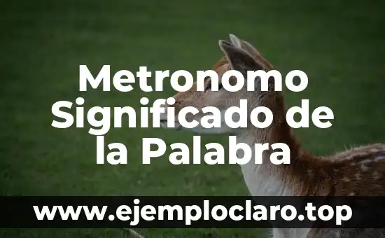 Metronomo Significado de la Palabra