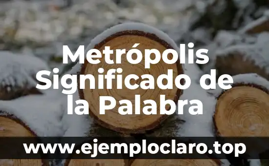Metrópolis Significado de la Palabra