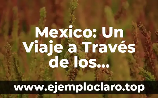 Mexico: Un Viaje a Través de los Significados de sus Estados