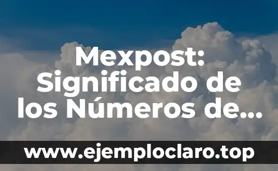 Mexpost: Significado de los Números de Guía