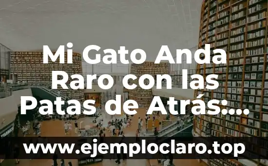 Mi Gato Anda Raro con las Patas de Atrás: Causas y Soluciones