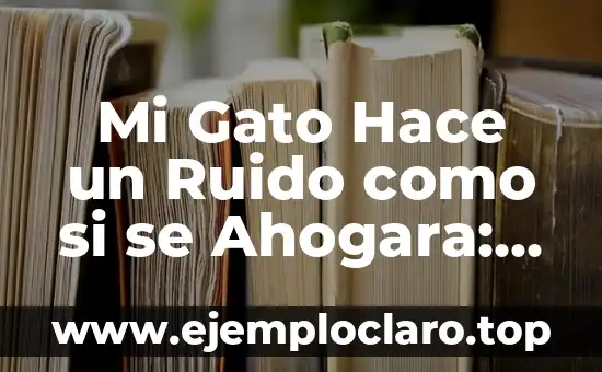 Mi Gato Hace un Ruido como si se Ahogara: ¿Por qué Ocurre?
