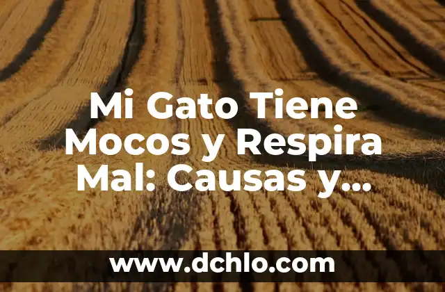 Mi Perro Se Rasca Mucho y No Tiene Nada: Causas y Soluciones 5 Mi Gato Tiene Mocos y Respira Mal: Causas y Soluciones