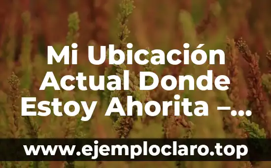 Mi Ubicación Actual Donde Estoy Ahorita – ¿Cómo saber dónde estás exactamente en este momento?