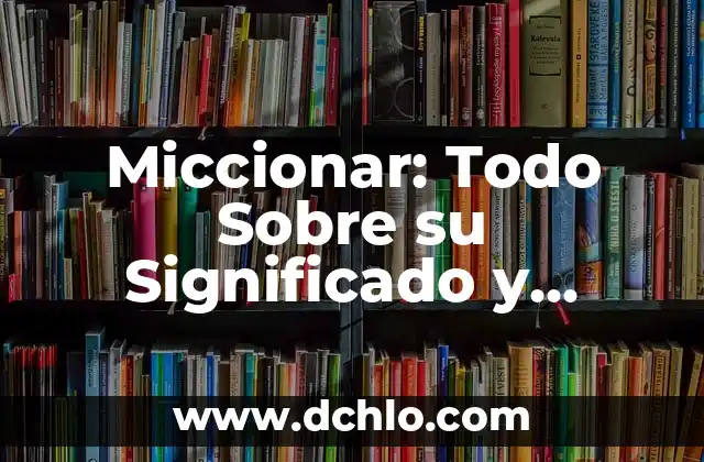 significado del municipio de Balancán 5 Miccionar: Todo Sobre su Significado y Connotaciones