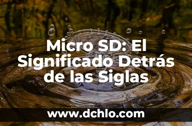 Significado de las siglas MGS 6 Micro SD: El Significado Detrás de las Siglas