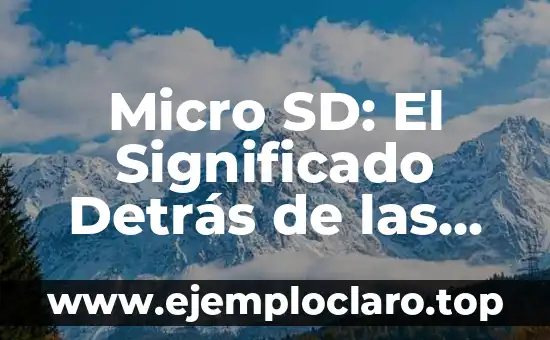 Micro SD: El Significado Detrás de las Siglas