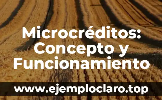 Microcréditos: Concepto y Funcionamiento