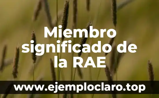 Miembro significado de la RAE