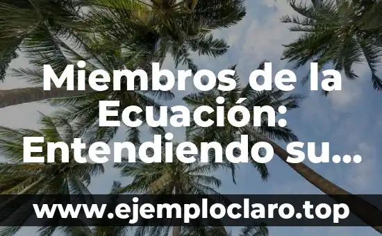 Miembros de la Ecuación: Entendiendo su Significado