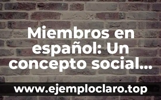 Miembros en español: Un concepto social y organizacional