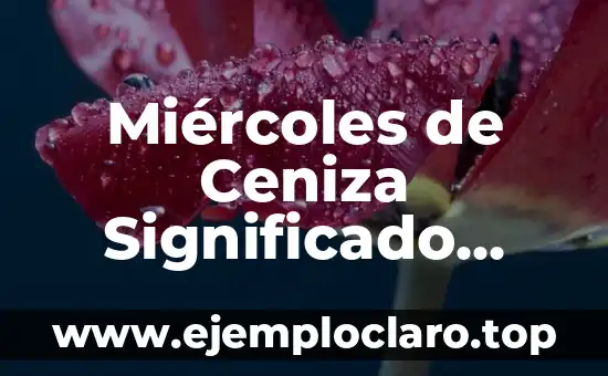 Miércoles de Ceniza Significado PDF