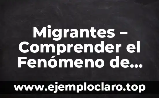 Migrantes – Comprender el Fenómeno de la Migración