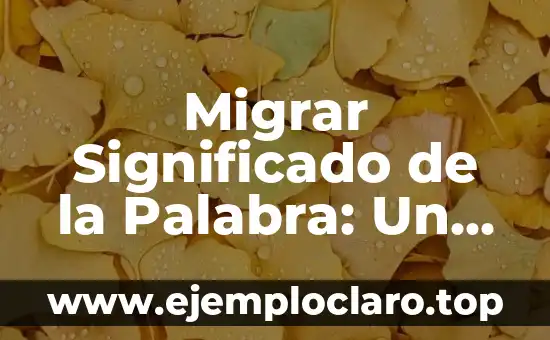 Migrar Significado de la Palabra: Un Concepto en Movimiento