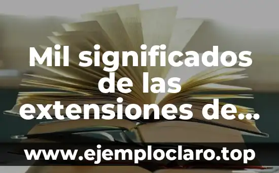 Mil significados de las extensiones de dominio