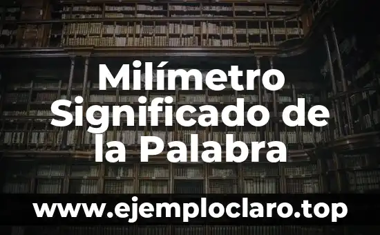 Milímetro Significado de la Palabra
