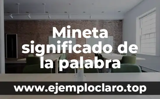 Mineta significado de la palabra