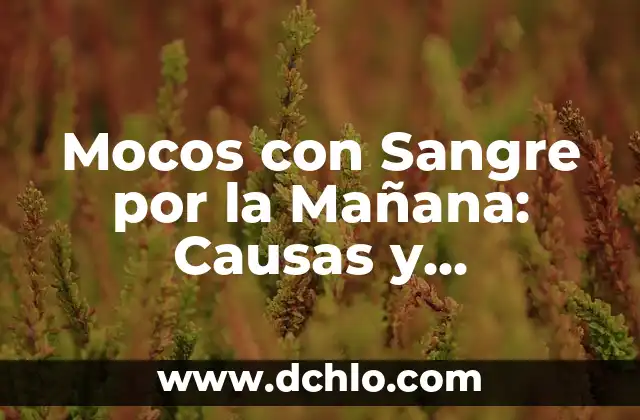 Infecciones en la Sangre por Bacterias: Causas, Síntomas y Tratamiento 5 Mocos con Sangre por la Mañana: Causas y Tratamientos