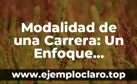 Modalidad de una Carrera: Un Enfoque Integral en la Educación