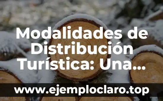 Modalidades de Distribución Turística: Una Guía Completa