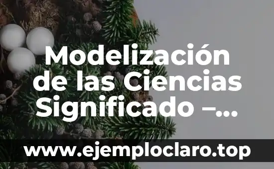 Modelización de las Ciencias Significado – Una Guía Completa