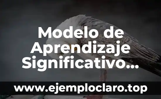 Modelo de Aprendizaje Significativo PDF